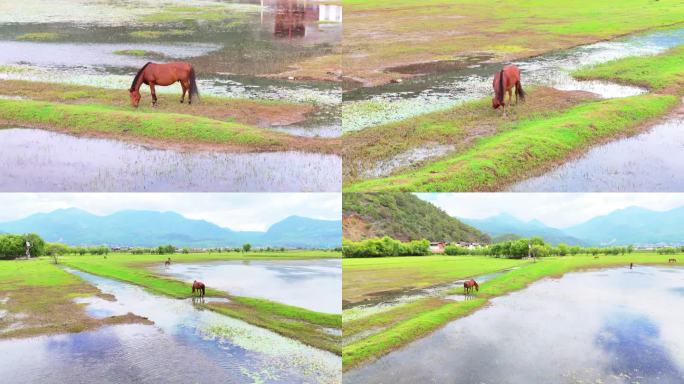 丽江拉市海打鱼村风景-8