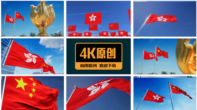 香港回归香港特别行政区区旗素材