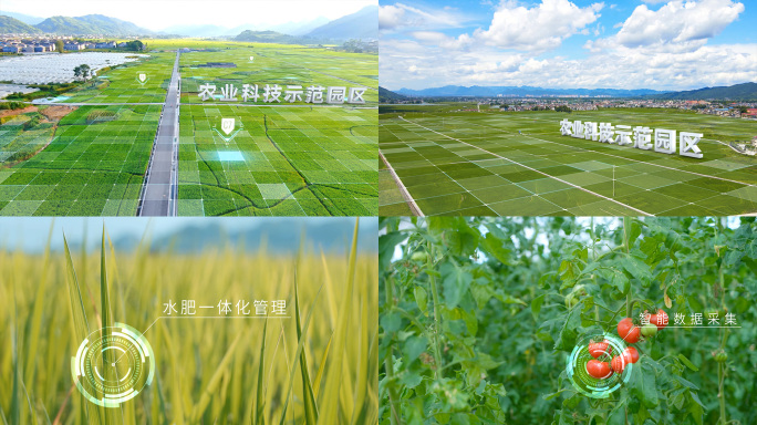现代农业科技文字AE