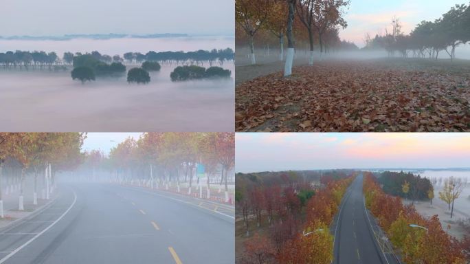 苏州工业园区阳澄湖半岛秋天晨雾水墨画风景