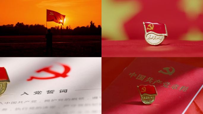 党旗党徽党章党员学习中国共产党章程