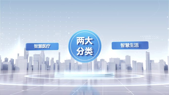 两大分支分类架构