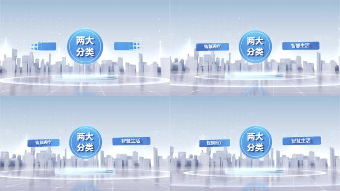 两大分支分类架构