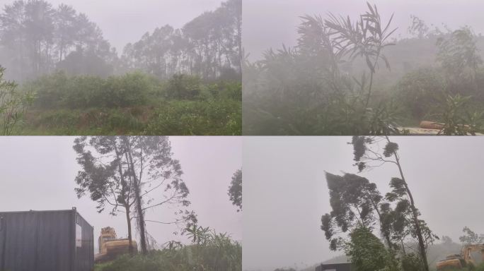 强风吹拂加强台风雷雨交加台风来袭暴风