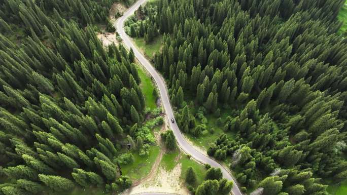 4K新疆伊犁阿勒泰自驾游草原森林赛里木湖