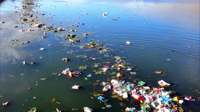 漂浮在水面上的垃圾和塑料 (3)