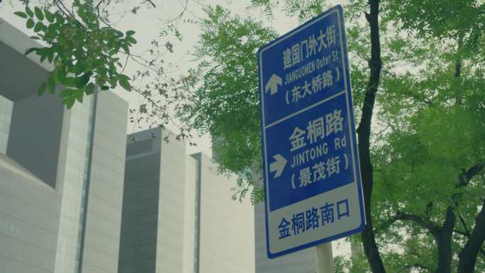 建国门外大街 路牌 国贸 夏天 树叶