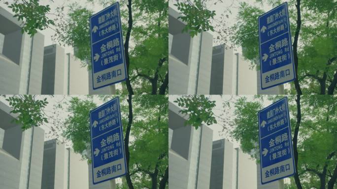 建国门外大街 路牌 国贸 夏天 树叶