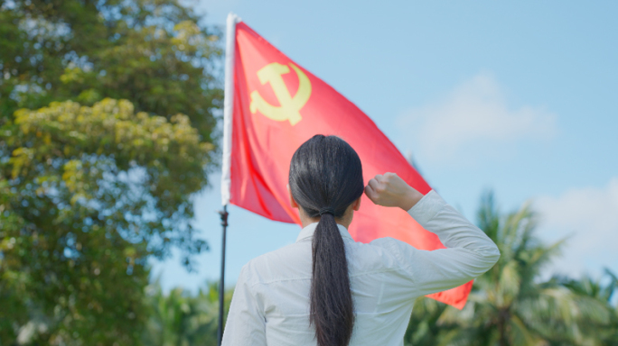 党建 党员学习 宣誓 纪律处分条例 七一