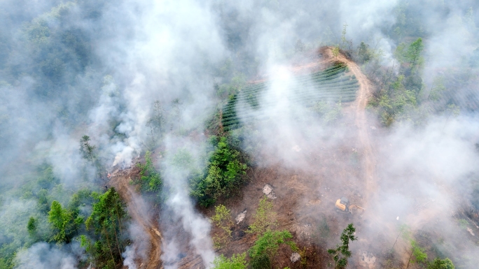 航拍山林树林浓烟滚滚林地生态燃烧烟雾弥漫