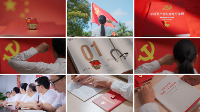 党员学习党课 入党宣誓 党建 建党103