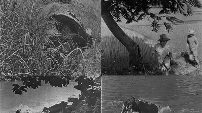 抗日游击队 云贵游击队