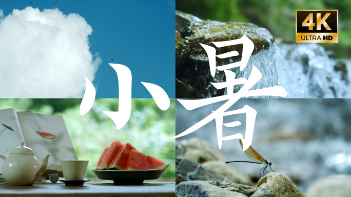 【小暑】二十四节气唯美夏天夏日小清新视频