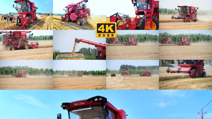 4K北京平原粮食产区夏收联合收割机收小麦
