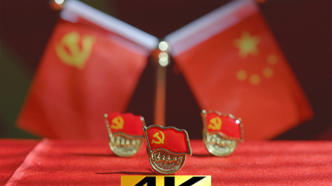 中国共产党章程党徽党章党员党旗党员学习