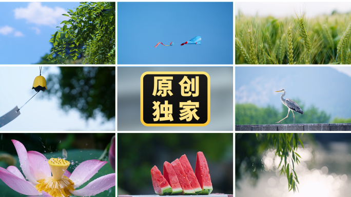 夏天空镜小暑大暑立夏夏至小清新阳光树叶