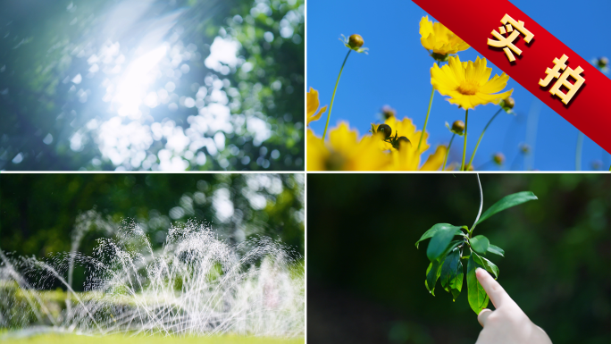 夏天空镜小暑大暑立夏夏至小清新阳光树叶