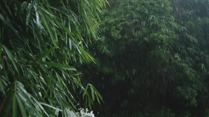 雨  雨景 雨滴 下雨