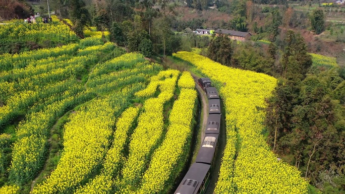 乐山犍为嘉阳小火车