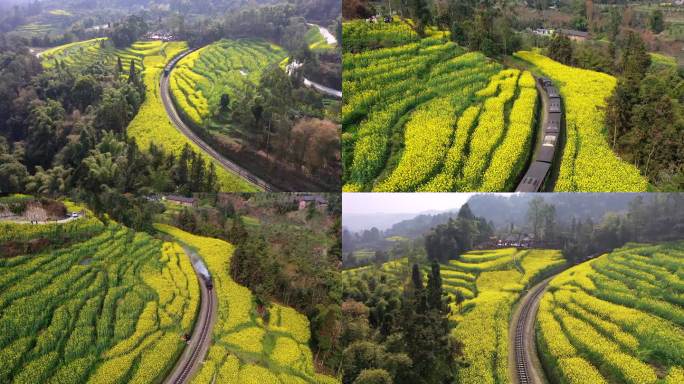 乐山犍为嘉阳小火车