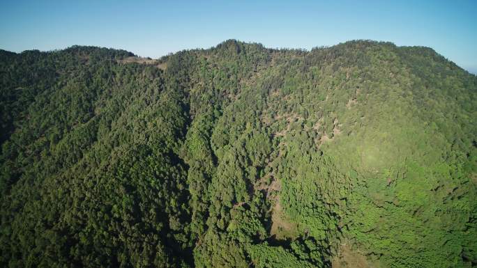 高山原始森林自然保护区