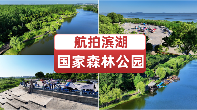 航拍滨湖国家森林公园 绿色湿地