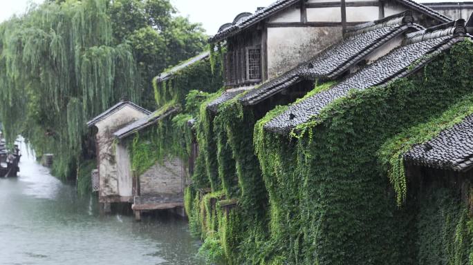 （合集）江南水乡千年古镇乌镇雨季大雨