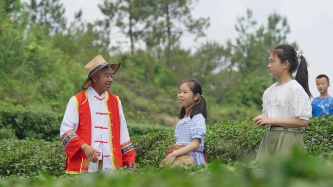 茶园 莲花褒歌 同安白交祠