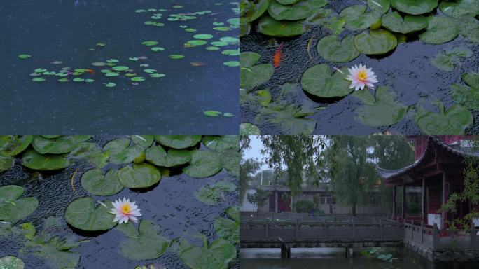 爱莲池国风建筑雨景