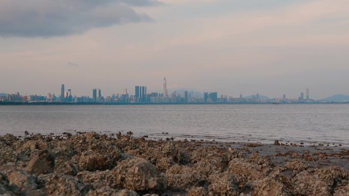 深圳城市建设全景