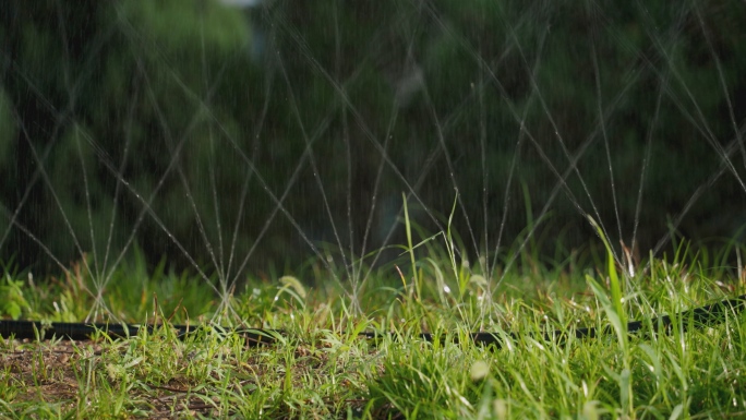 草地浇水草地绿地喷洒浇灌