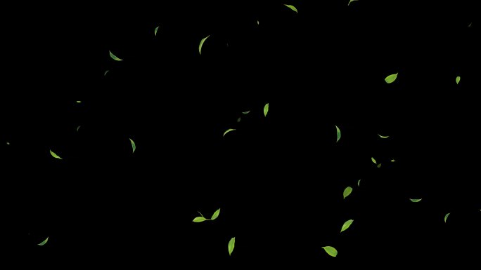 茶叶满屏飞舞