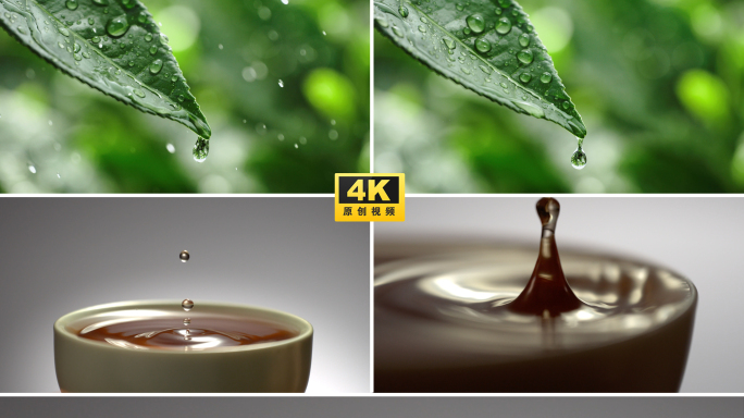 茶 茶滴 水滴 茶叶 意境茶文化 一滴茶