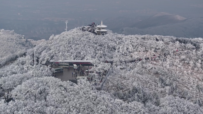 花果山雾凇