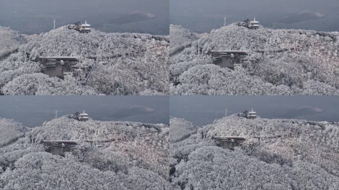 花果山雾凇
