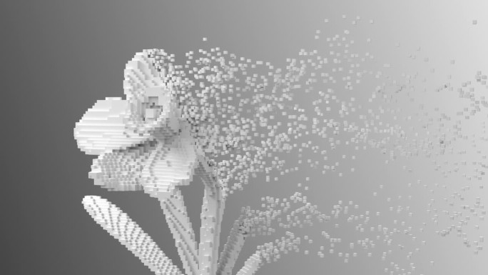 数字花白色水仙分解成3d像素