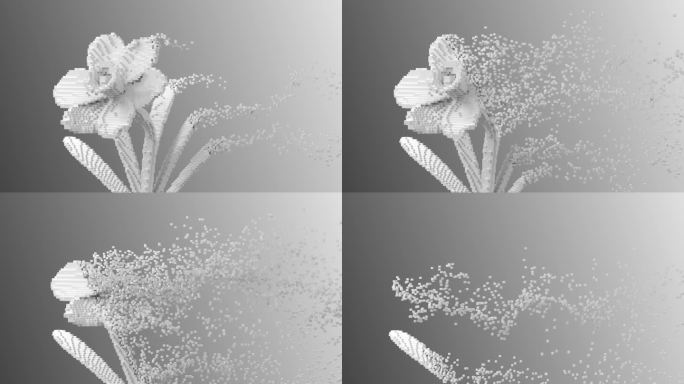 数字花白色水仙分解成3d像素