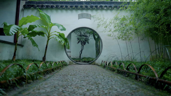 雨打芭蕉梅雨水惊蛰谷雨初夏园林江南水乡