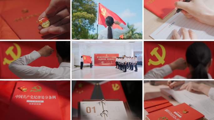 党史党建党纪党政廉洁从政入党宣誓爱党爱国