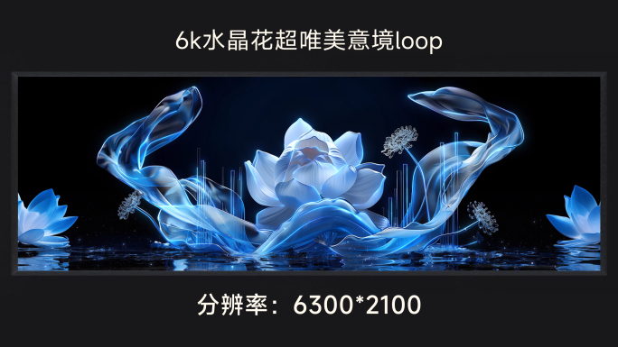 6k水晶花超唯美意境loop