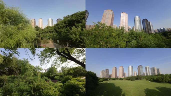 早晨城市绿化美景湿地公园商务中心写字楼