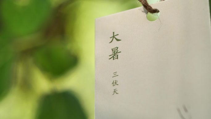 大暑节气