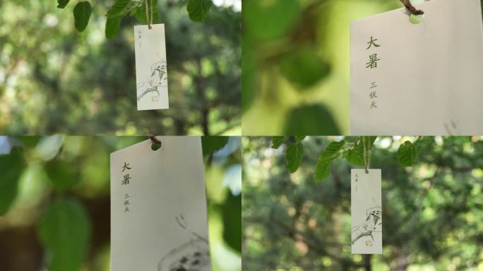大暑节气