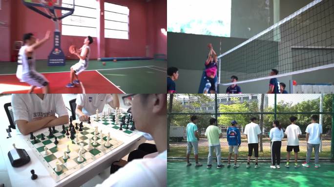 学校运动会篮球足球排球跑步下棋跆拳道