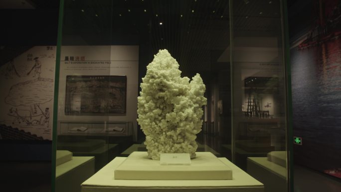 博物馆 岩盐 盐 海盐 湖盐 盐花 展厅 岩盐博物馆