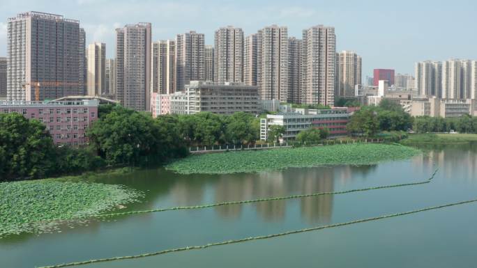 武汉市洪山高级中学