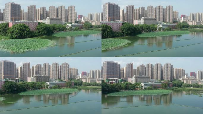 武汉市洪山高级中学