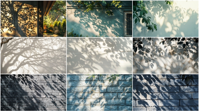 白墙树影婆娑禅意写意斑驳光影唯美空镜