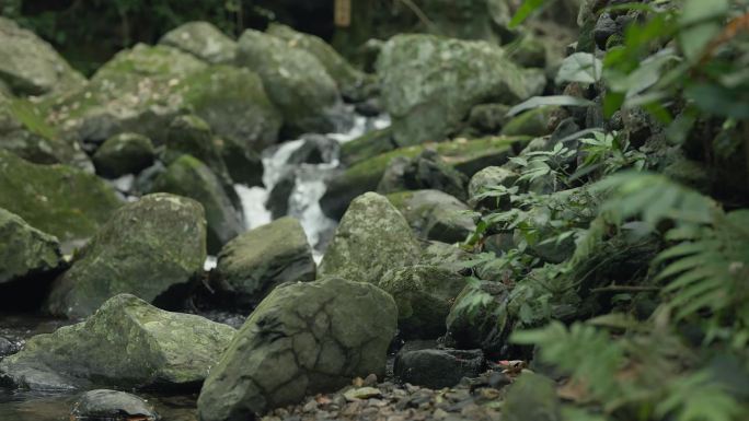 山间流水、瀑布倾泻，青苔满布的石头