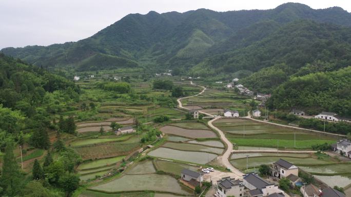 皖南乡村 水田 稻田